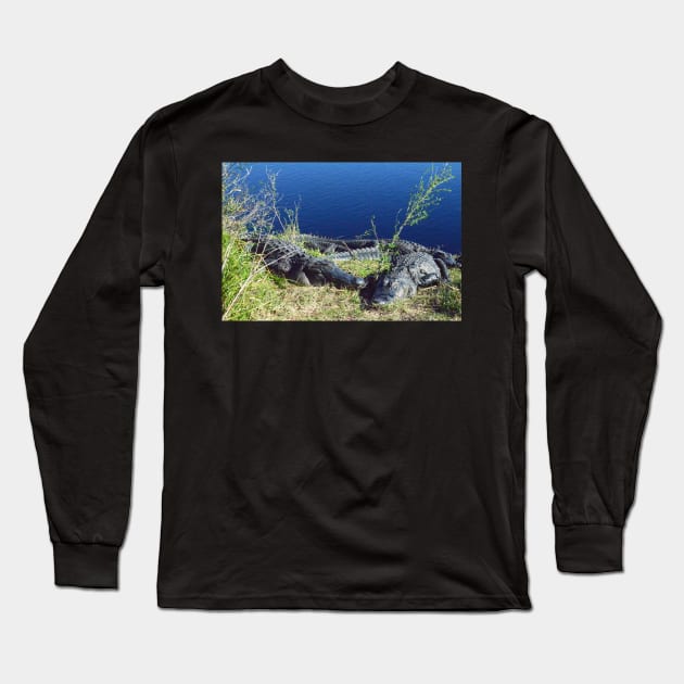 A walk on the wild side with Alligators at Paynes Prairie Long Sleeve T-Shirt by tziggles